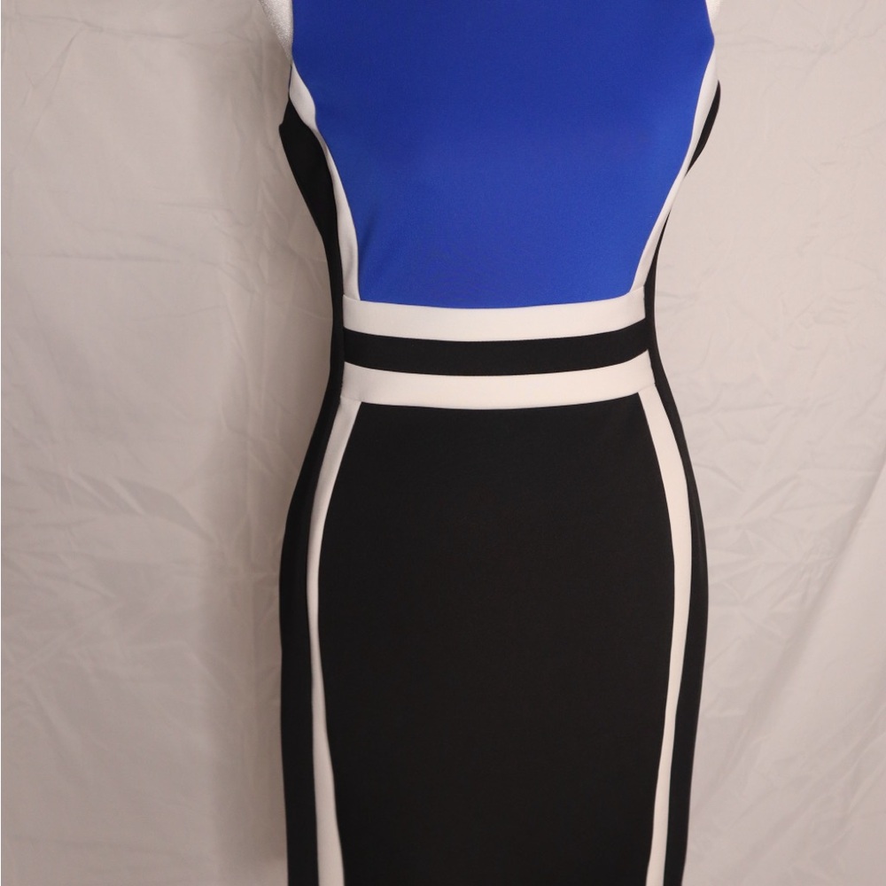 Calvin Klein Blue and Black Contrast Dress